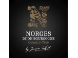 COUNTRY CLUB NORGES GOLF DIJON BOURGOGNE-Sorties, Restaurants Loisirs, Culture Divers-JOUER AU GOLF A DIJON  